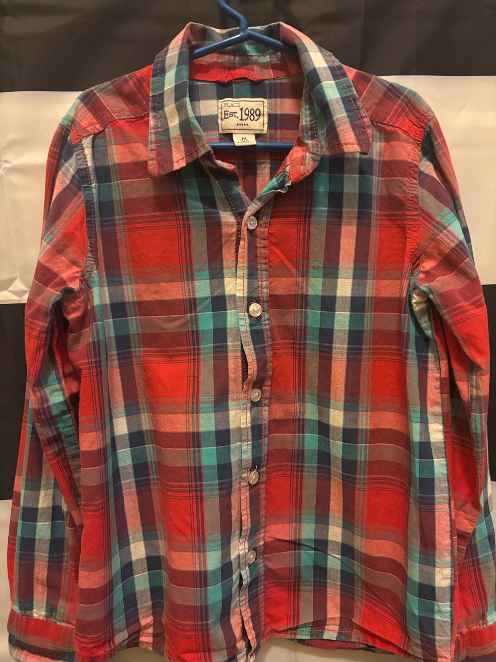 The Children's Place Red Plaid Button-Up Shirt with Teal Accents